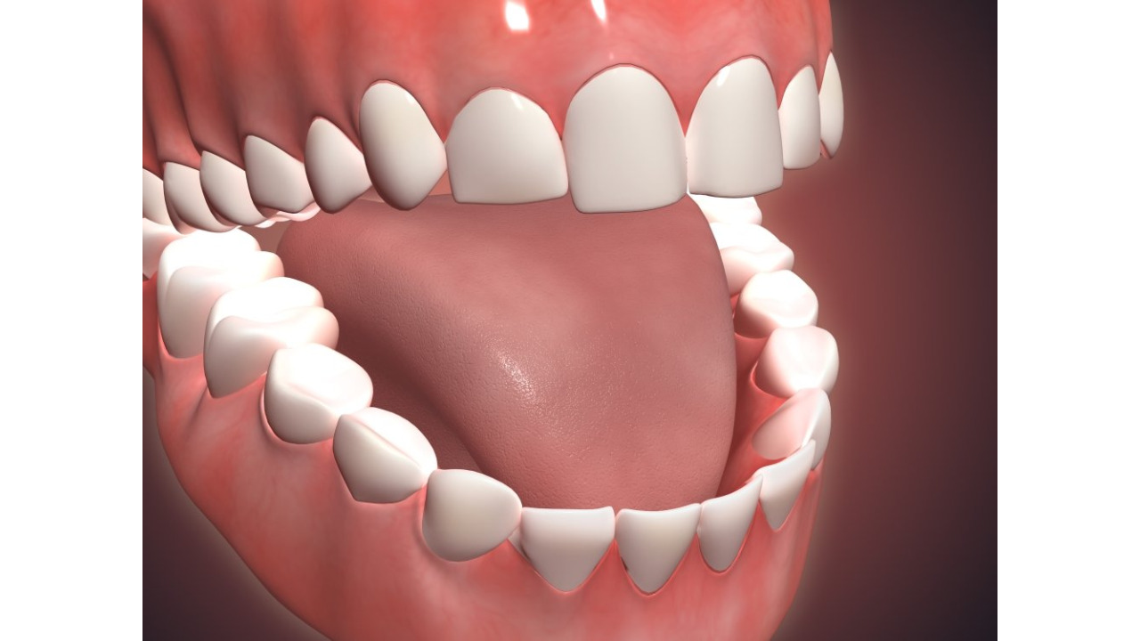 Pengenalan Tentang Gigi